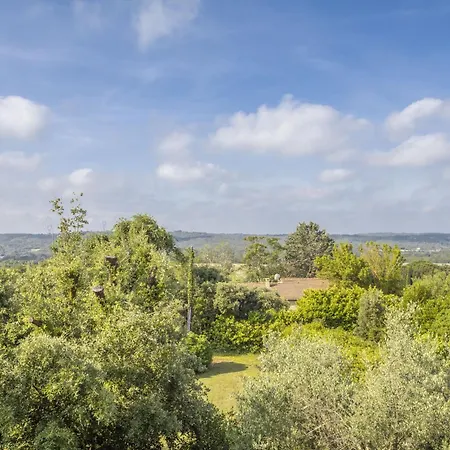Les Oliviers * Saint-Maximin (Gard)